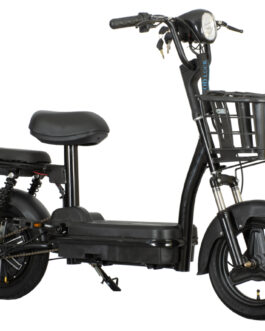 EB-MINI POWER CRNI